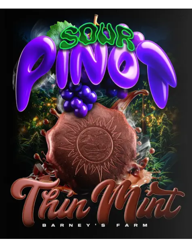 Thin Mint x Sour Pinot Auto - BARNEY'S FARM - 1 
