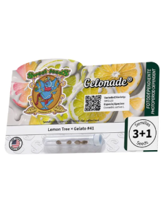 Sweet Seeds - Gelonade - 1 