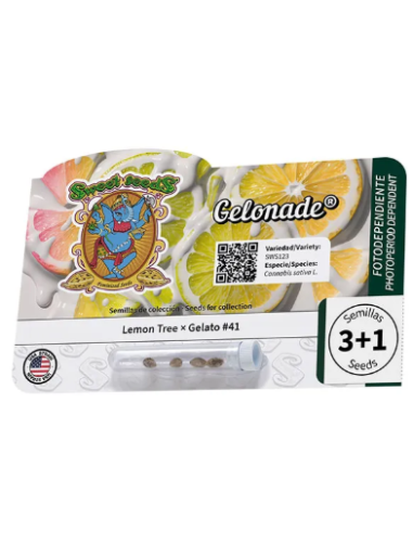 Sweet Seeds - Gelonade - 1 