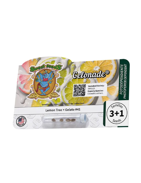 Sweet Seeds - Gelonade - 1 