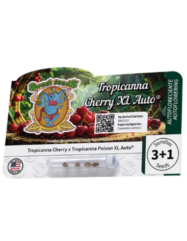 Sweet Seeds - Tropicanna Cherry XL Auto - 1 