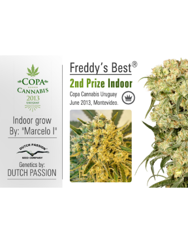 DUTCH PASSION - Freddy’s Best - 4
