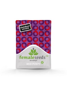 FEMALE SEEDS - Red Purps - 1 2