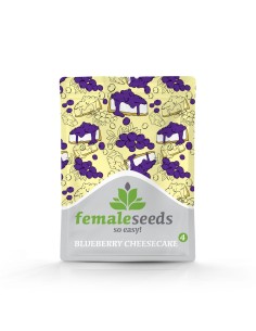 FEMALE SEEDS - Blueberry Cheesecake - 1 2