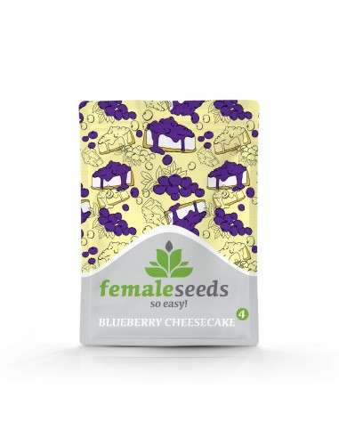 FEMALE SEEDS - Blueberry Cheesecake - 2