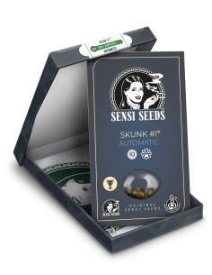 SENSI SEEDS - Skunk 1 Auto - 1 2