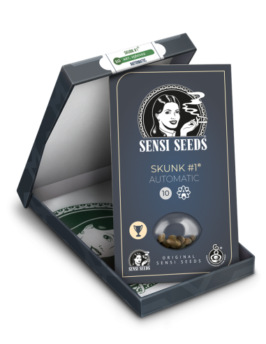 SENSI SEEDS - Skunk 1 Auto - 2