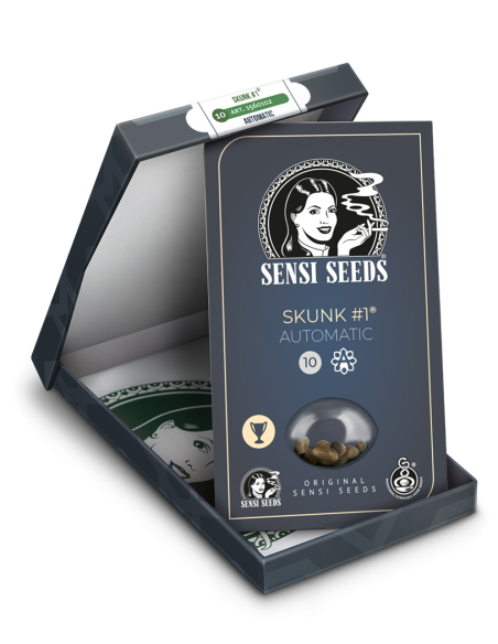 SENSI SEEDS - Skunk 1 Auto - 2