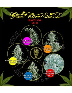 GREEN HOUSE SEEDS - Sativa Mix - 1 2