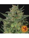 BARNEY’S FARM - LSD - 3