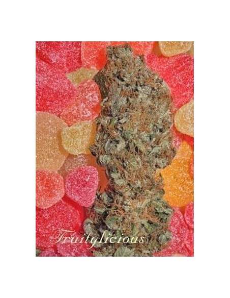 MANDALA SEEDS - Fruitylicious - 1