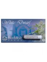 BUDDHA SEEDS - White Dwarf Auto - 1