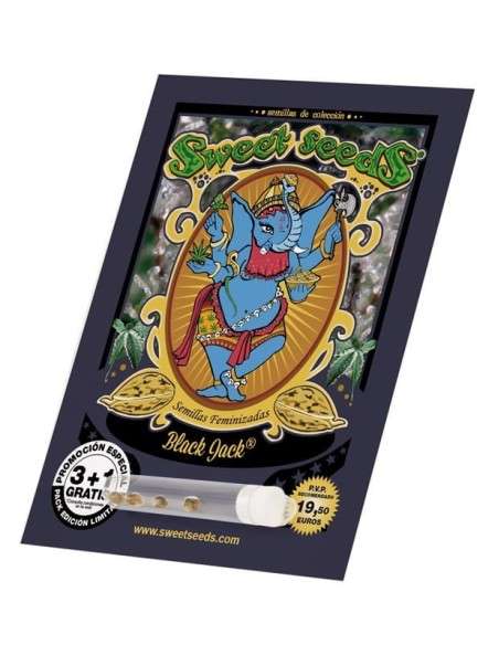 SWEET SEEDS - Black Jack - 2