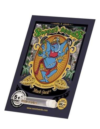 SWEET SEEDS - Black Jack - 3
