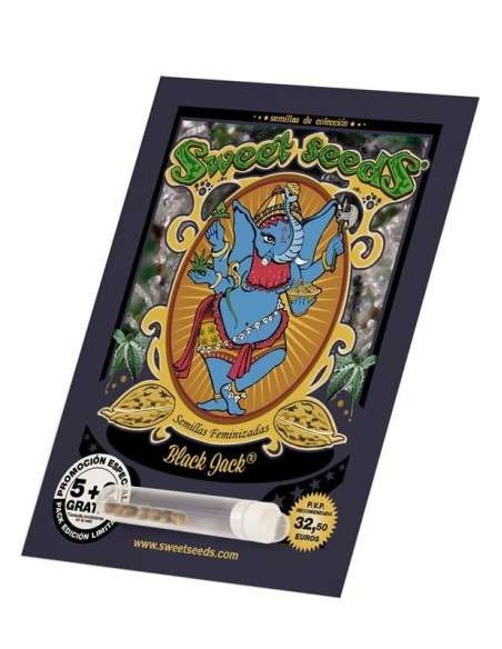 SWEET SEEDS - Black Jack - 3