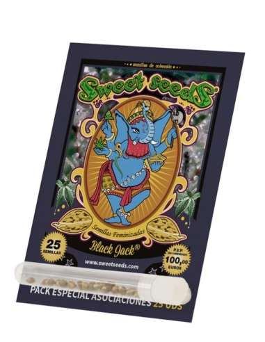 SWEET SEEDS - Black Jack - 4