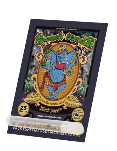SWEET SEEDS - Black Jack - 4