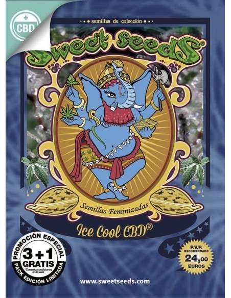 SWEET SEEDS - Ice Cool CBD - 4
