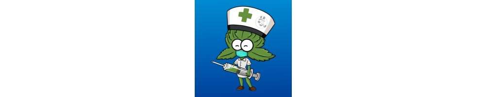 Medyczna marihuana