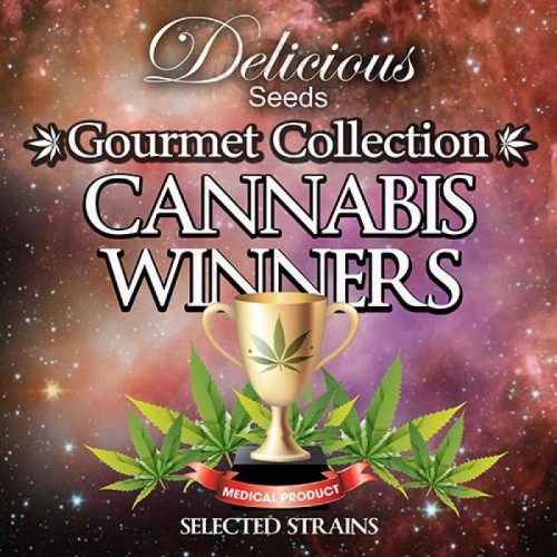 DELICIOUS SEEDS - Gourmet Collection Cannabis Winners 1