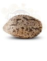 RIPPER SEEDS - Black Valley