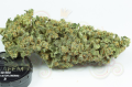 DINAFEM - Haze 2.0 Autoflowering