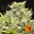 BARNEY’S FARM - Pineapple Chunk