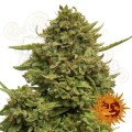 BARNEY’S FARM - Pineapple Chunk