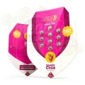 ROYAL QUEEN SEEDS - Speedy Chile (Fast Version)