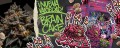 RIPPER SEEDS - Brain Cake