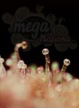 SWEET SEEDS - Cream Caramel Auto