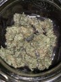 SWEET SEEDS - Mohan Ram Auto