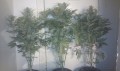 SWEET SEEDS - Mohan Ram Auto