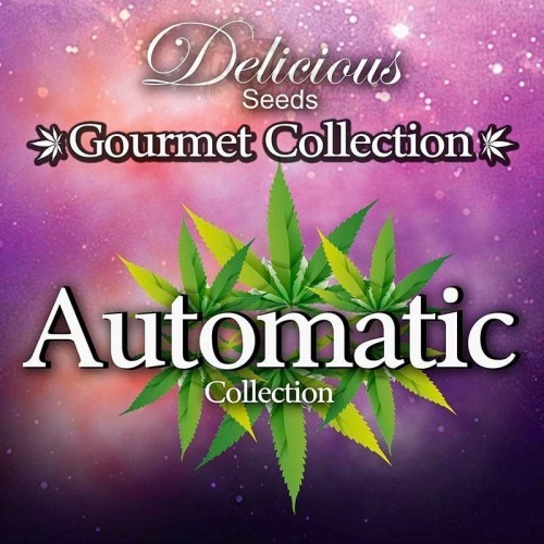 DELICIOUS SEEDS - Gourmet Collection Automatic 1