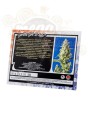 Sweet Seeds - Gorilla Girl XL Auto