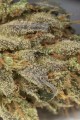 Dinafem - Amnesia Auto CBD