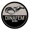 DINAFEM - Blue Thai