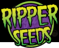 RIPPER SEEDS - Acid Dough