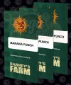 BARNEY'S FARM - Banana Punch