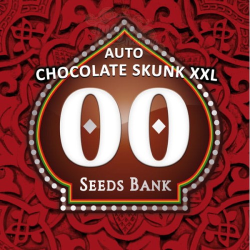 00 SEEDS BANK - Auto Chocolate Skunk XXL