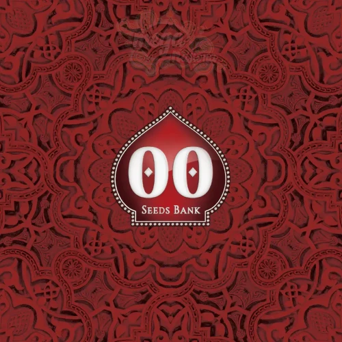 00 SEEDS BANK - Auto White Widow XXL