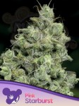 Anesia Seeds - Pink Starburst