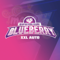 BSF SEEDS - Blueberry XXL Auto