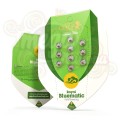 ROYAL QUEEN SEEDS - Royal Bluematic Automatic