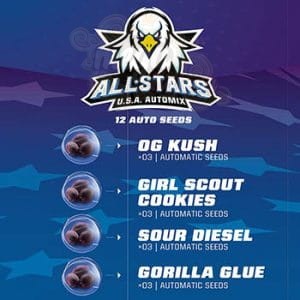 BSF Seeds - All Stars USA Automix
