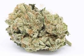 Zkittlez OG