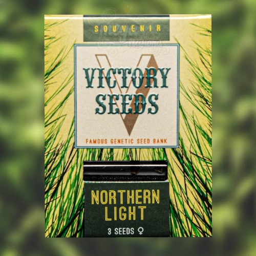 Victory Seeds - Northern Light