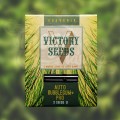 Victory Seeds - Auto Bubblegum+ Pro