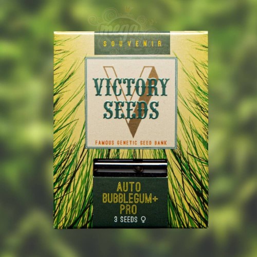 Victory Seeds - Auto Bubblegum+ Pro