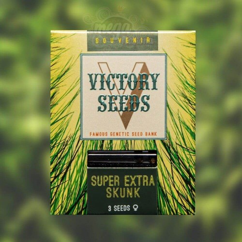 Victory Seeds - Super Skunk